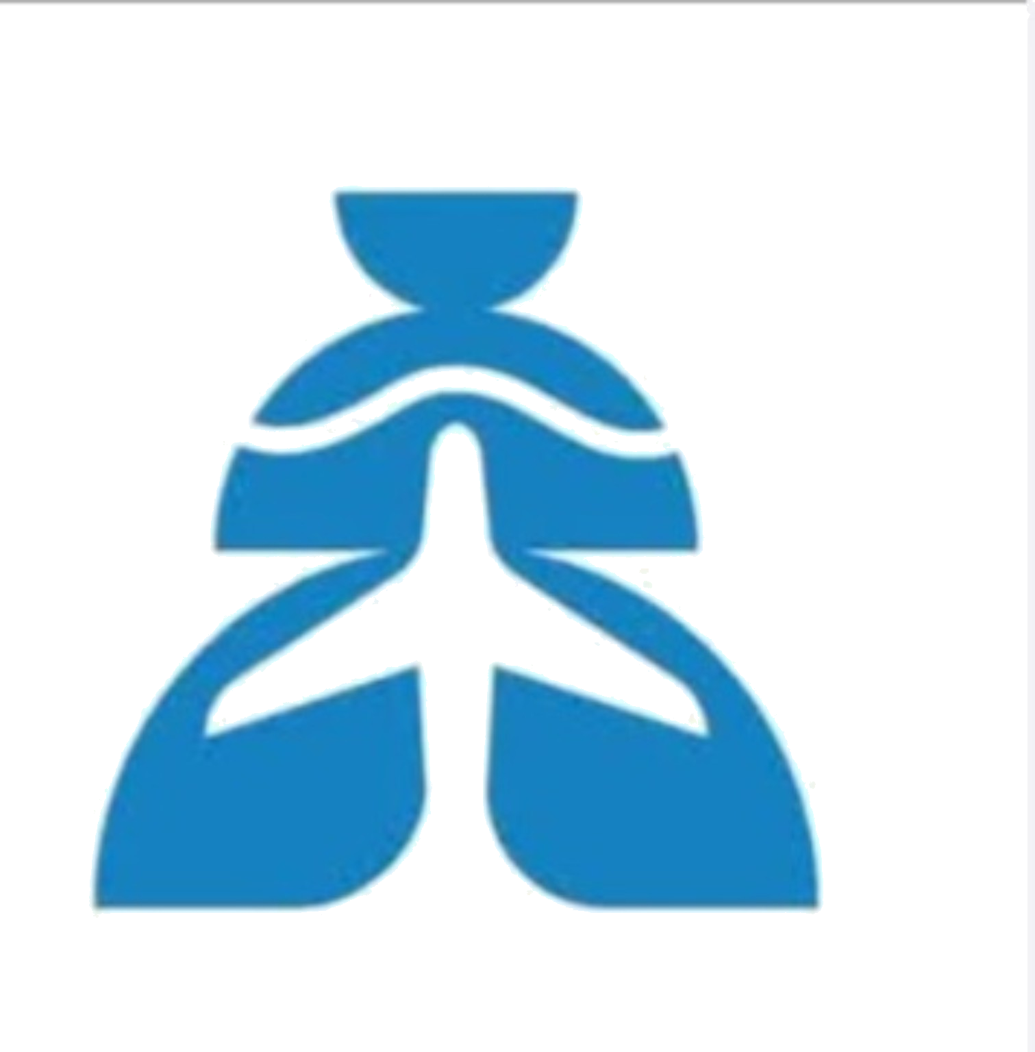 Mesob Ethiopia Tours logo