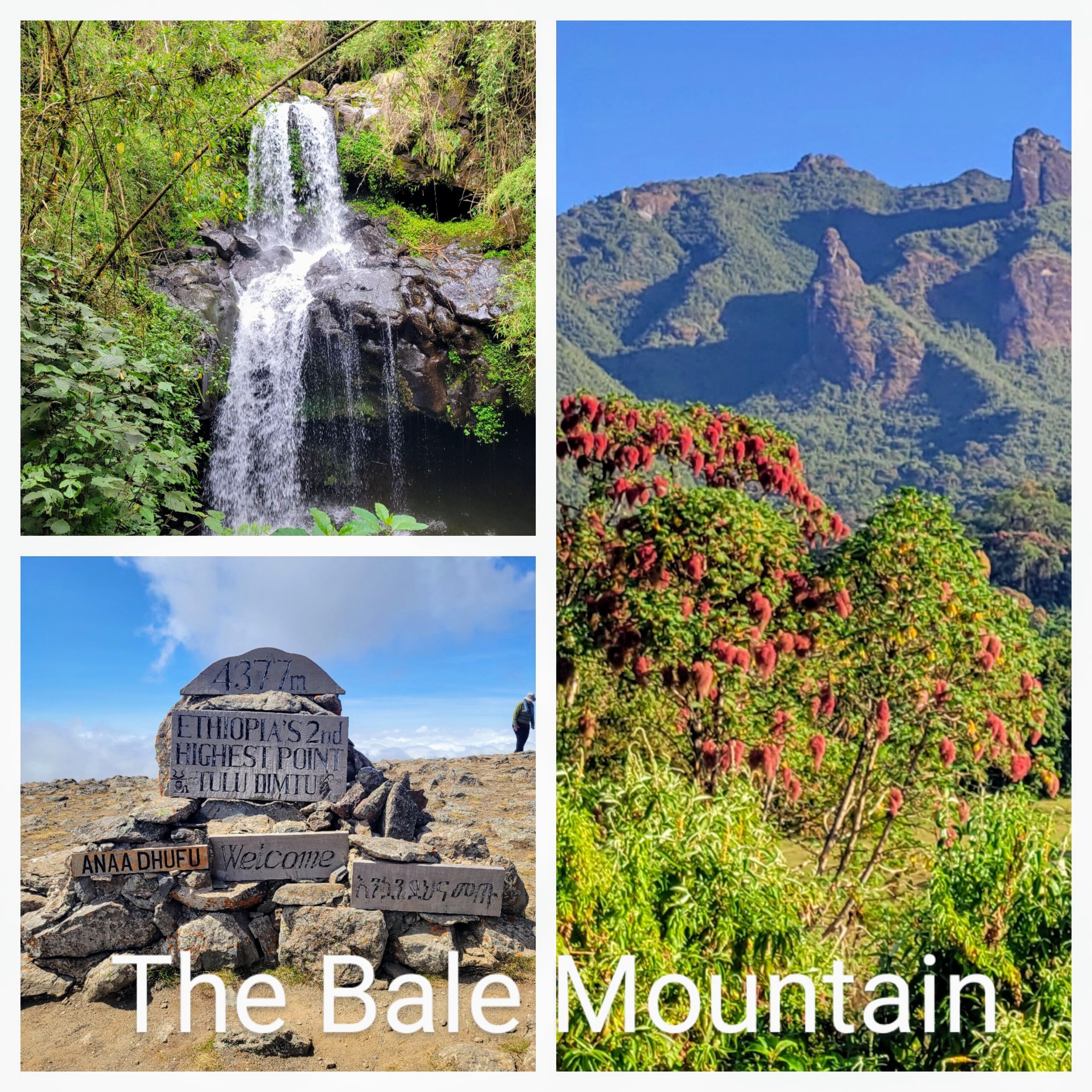 bale mountains national park