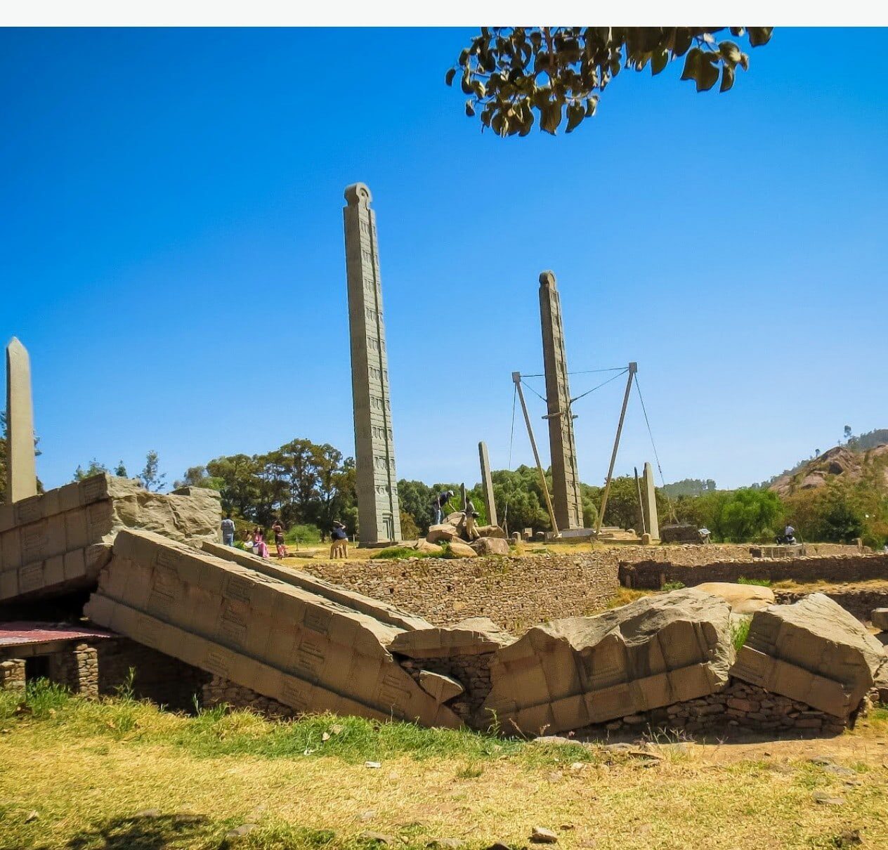 Tigray