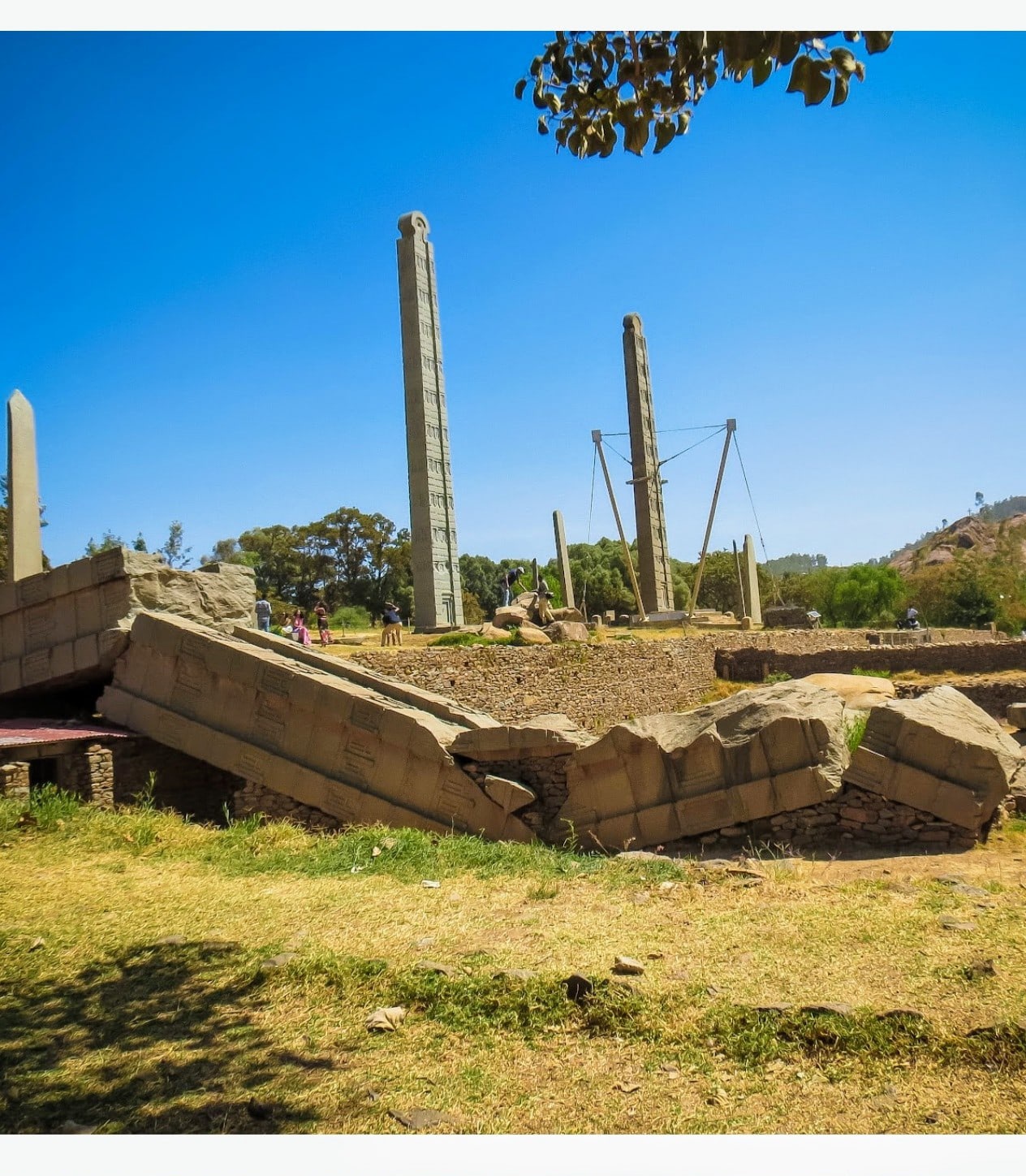 Tigray