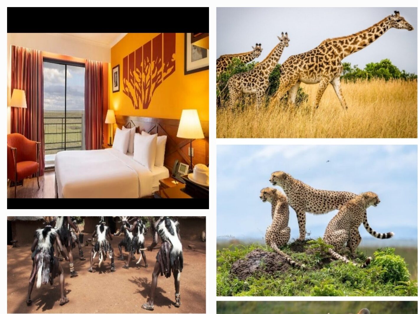 Kenya Safari